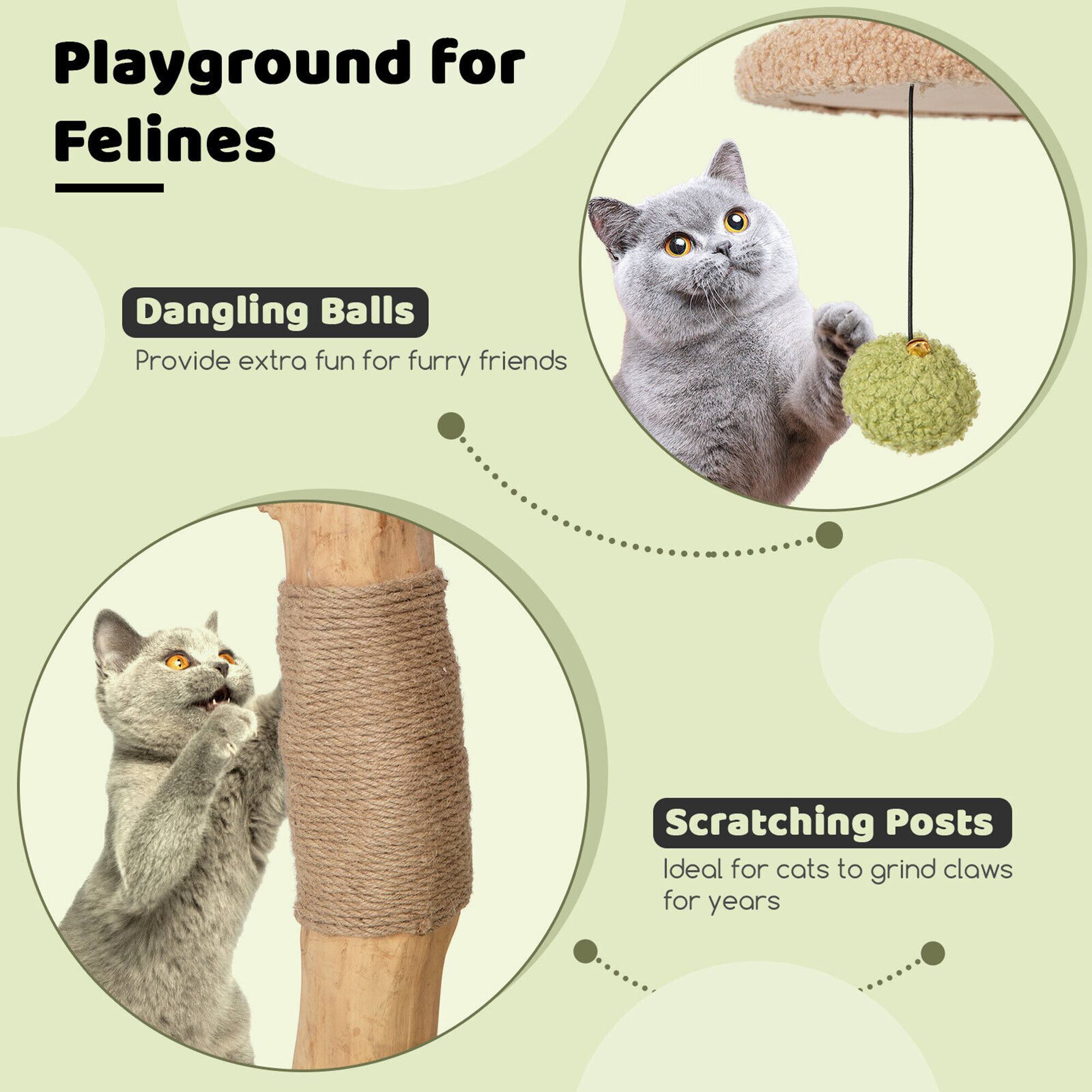 Playground for Felines

Dangling Balls  
Provide extra fun for furry friends

Scratching Posts  
Ideal for cats to grind claws for years
