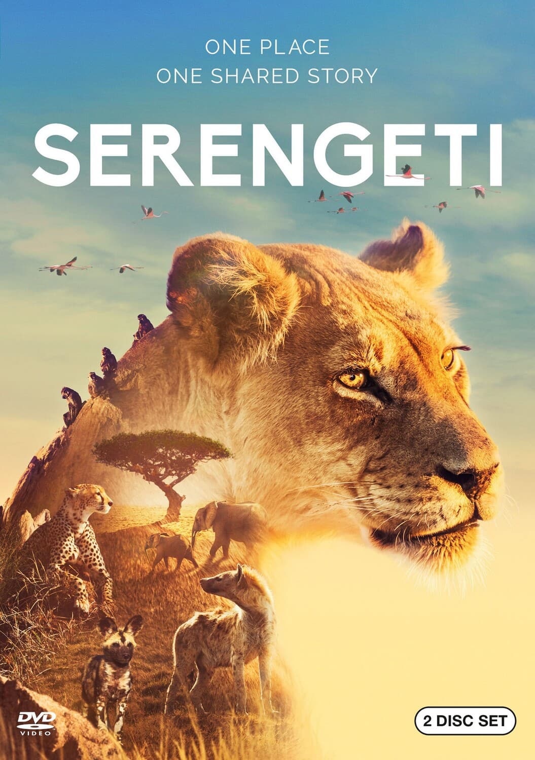 Front. Serengeti   - DVD.