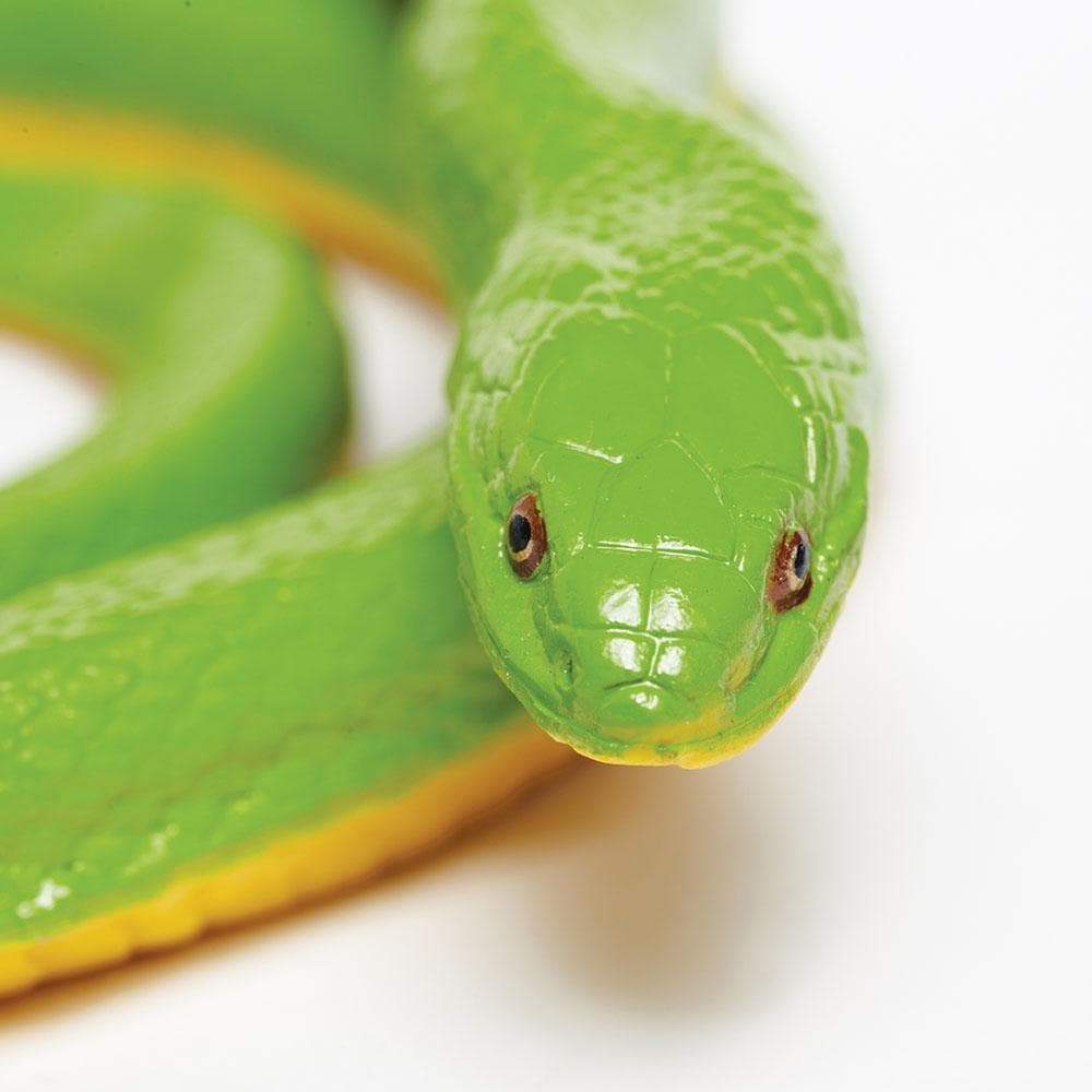 Back. Safari Ltd. - Rough Green Snake Toy Figurine.