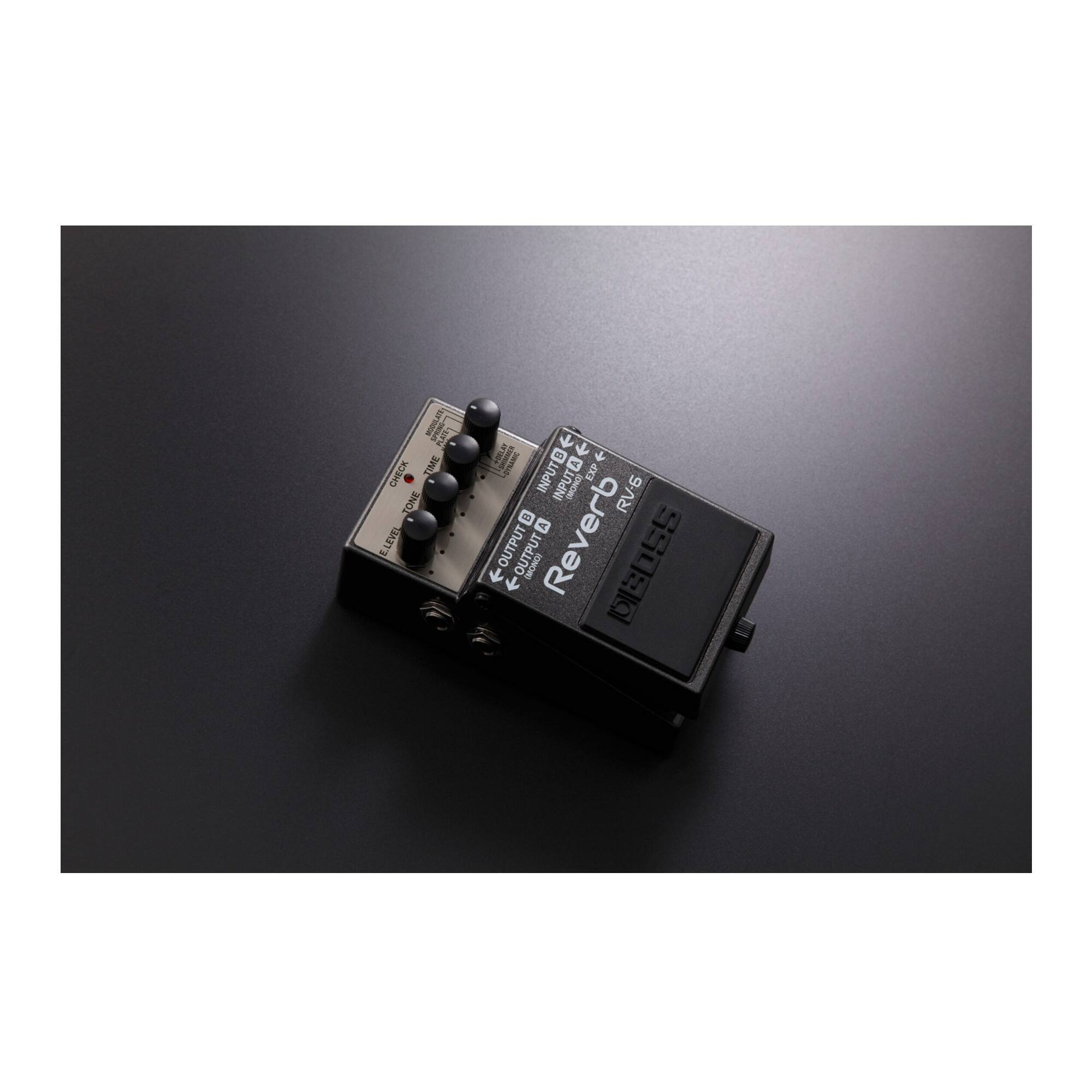 I CHECK STONE LEVEL I J a + B INPUT SONIC RV-6 V OUTPUT OUTPUT Reverb DEDSS