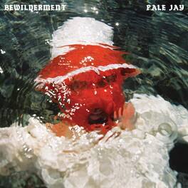 Pale Jay - Bewilderment - VINYL LP