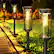 Front. MOSZAR LLC - Solar Path Lights Outside Waterproof, Walkway Light Solar Powered Landscape - White.