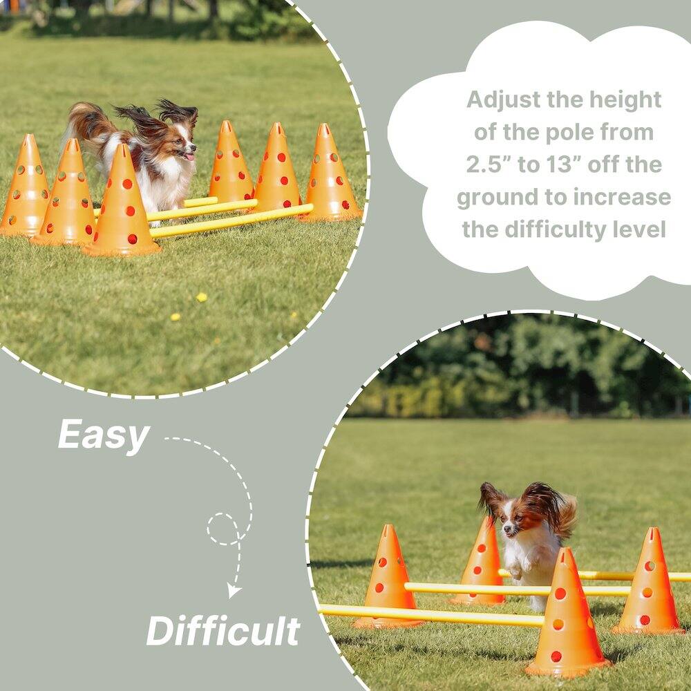 Adjust the height of the pole from 2.5" to 13" off the ground to increase the difficulty level.

Easy  
Difficult