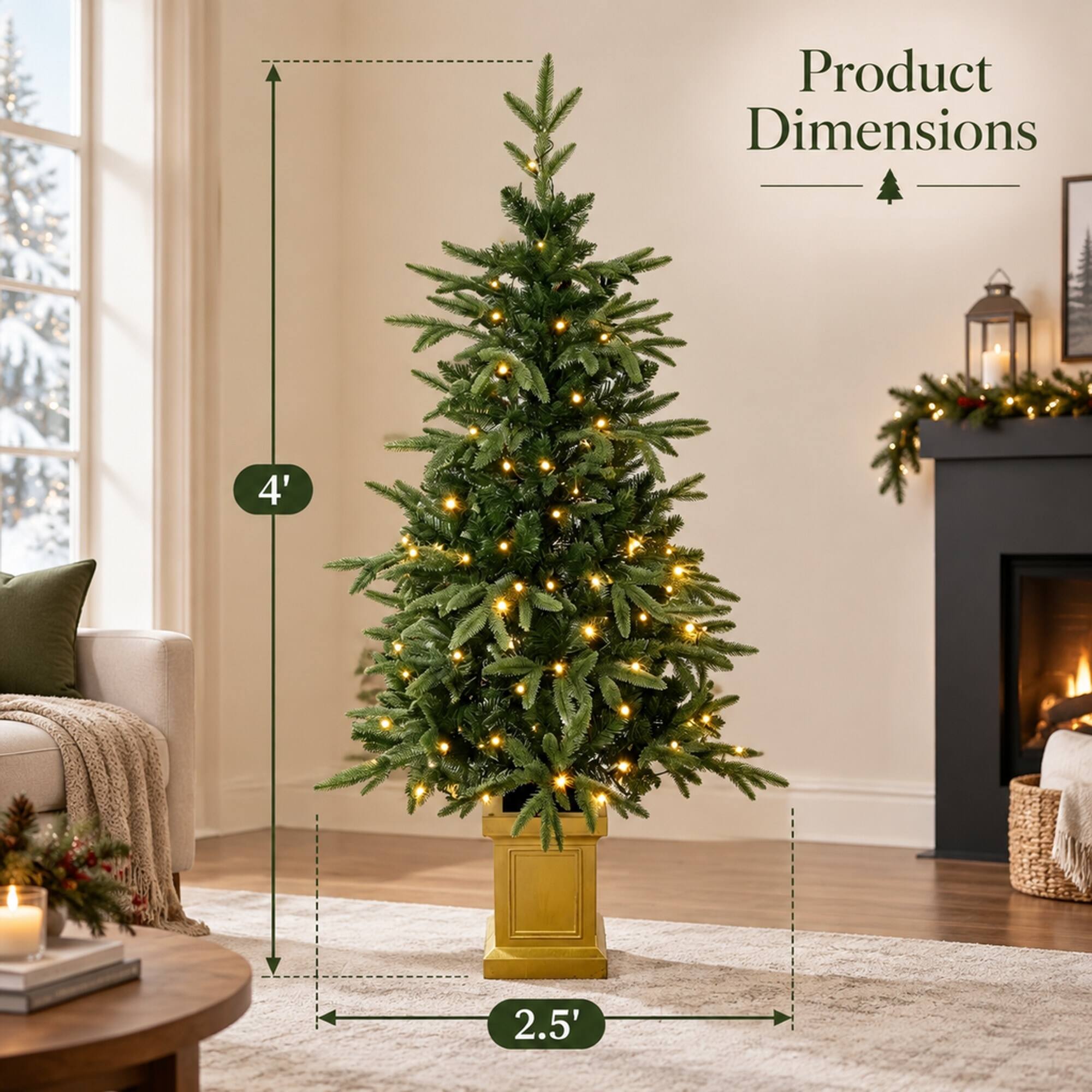 Product Dimensions
4' x 2.5'