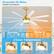 Reversible DC Motor
Suitable for all seasons
Summer
Forward wind brings you cool
Winter
Increase air circulation
Promote air circulation
3 Color Temperature
3000K Warm Light
4500K Neutral Light
6000K Cool Light
