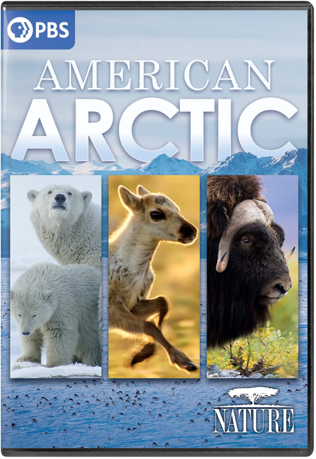 Nature: American Arctic  - DVD