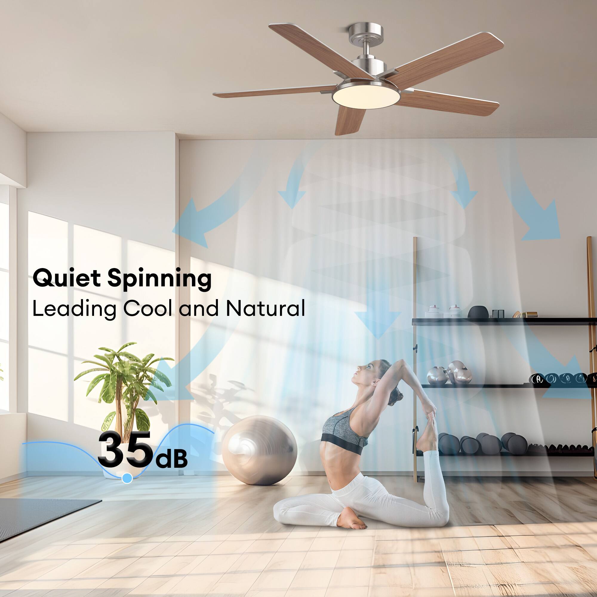 Quiet Spinning  
Leading Cool and Natural  
35 dB