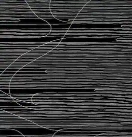 Oneida - Absolute II - VINYL LP