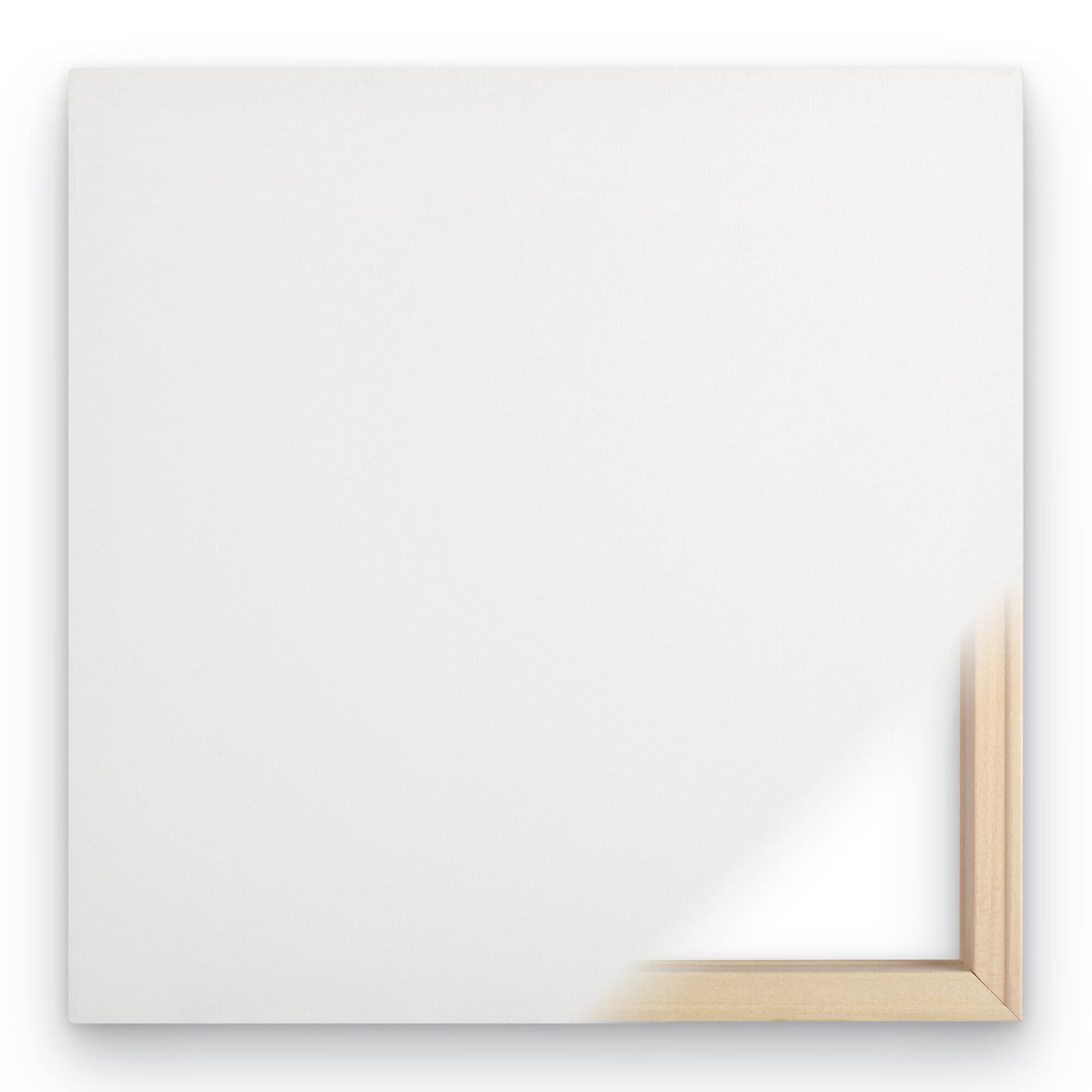 Alt View 2. Trademark Fine Art - Danhui Nai 'Eucalyptus III White Crop' Canvas Art - Multicolor.