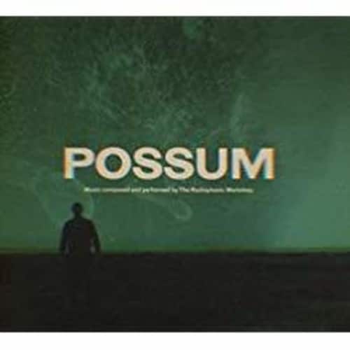 Radiophonic Workshop - Possum   - COMPACT DISCS [CD] price history on PriceWatchPro