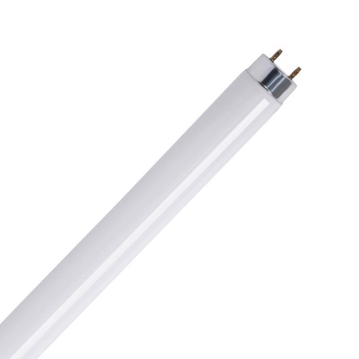 Left. FEIT ELECTRIC - Feit Legacy Bulbs 15 W T8 1.1 in. D X 17.7 in. L Fluorescent Bulb Cool White Linear 4100 K 1 pk.