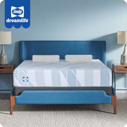 Sealy DreamLife Scala