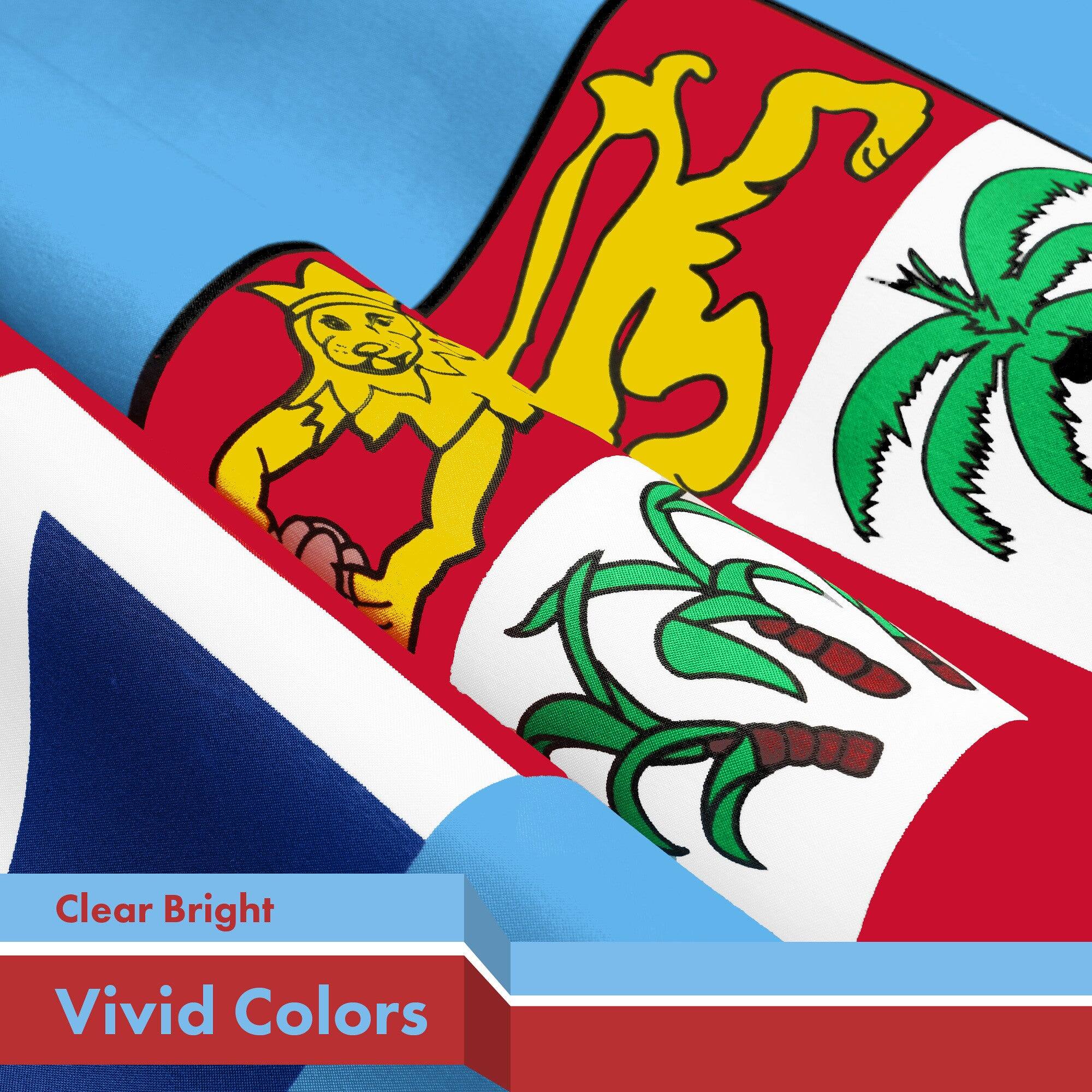 Clear Bright  
Vivid Colors