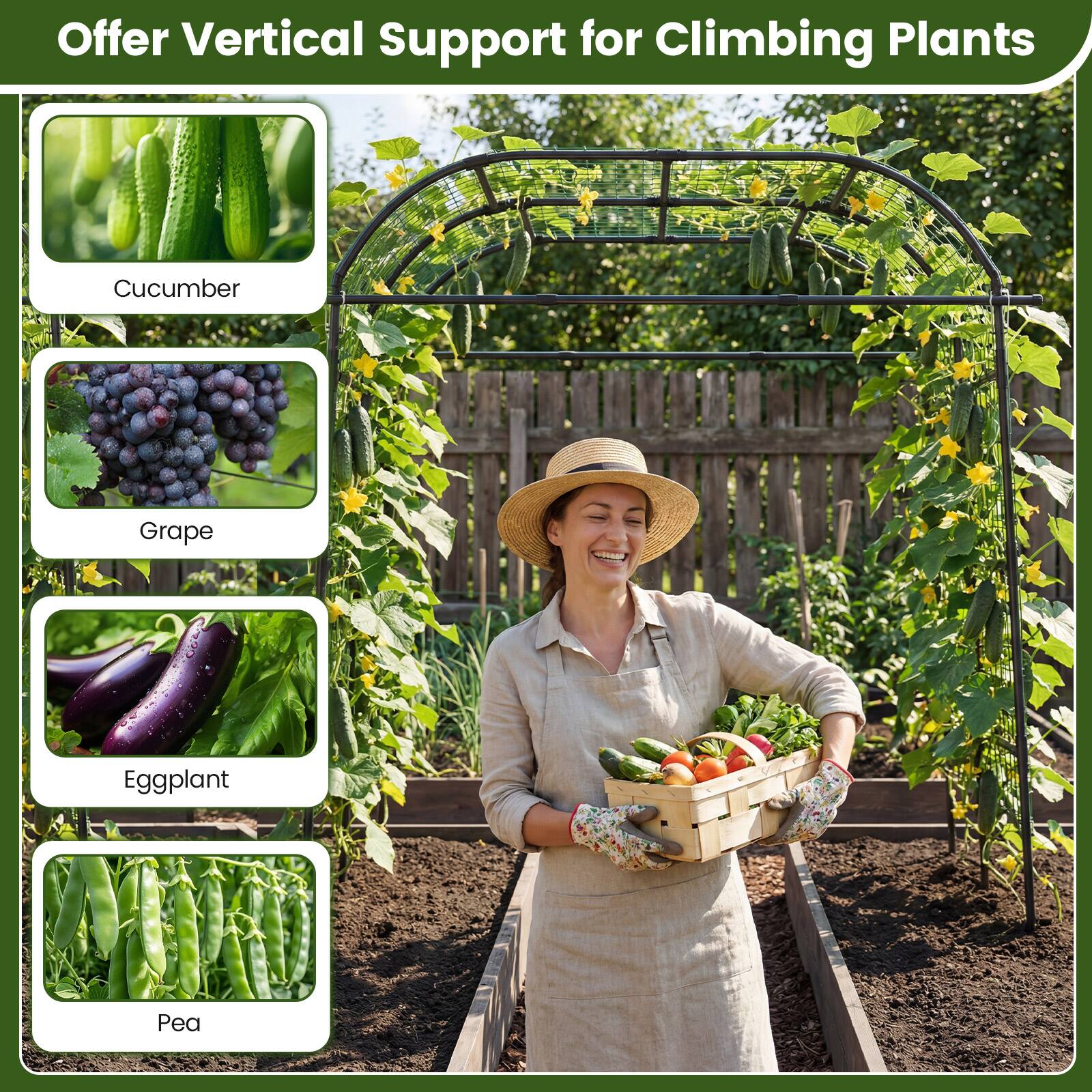 Offer Vertical Support for Climbing Plants

- Cucumber
- Grape
- Eggplant
- Pea