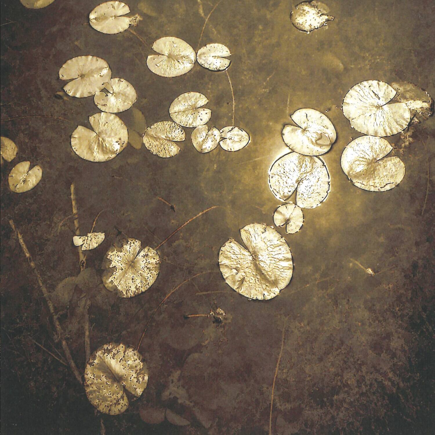 Front. Northwoods Improvisers - Fanfares   - COMPACT DISCS.