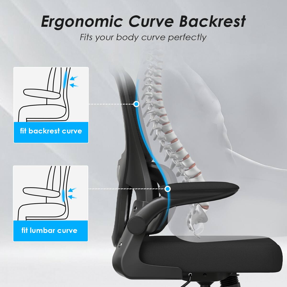 Ergonomic Curve Backrest  
Fits your body curve perfectly  

fit backrest curve  
fit lumbar curve