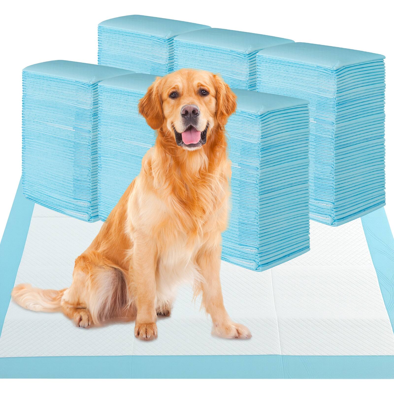 Front. Gymax - Gymax 36''x 36''(300 Counts) Dog Potty Training Pads Puppy Pee Pads w/ Quick-Drying - Blue.