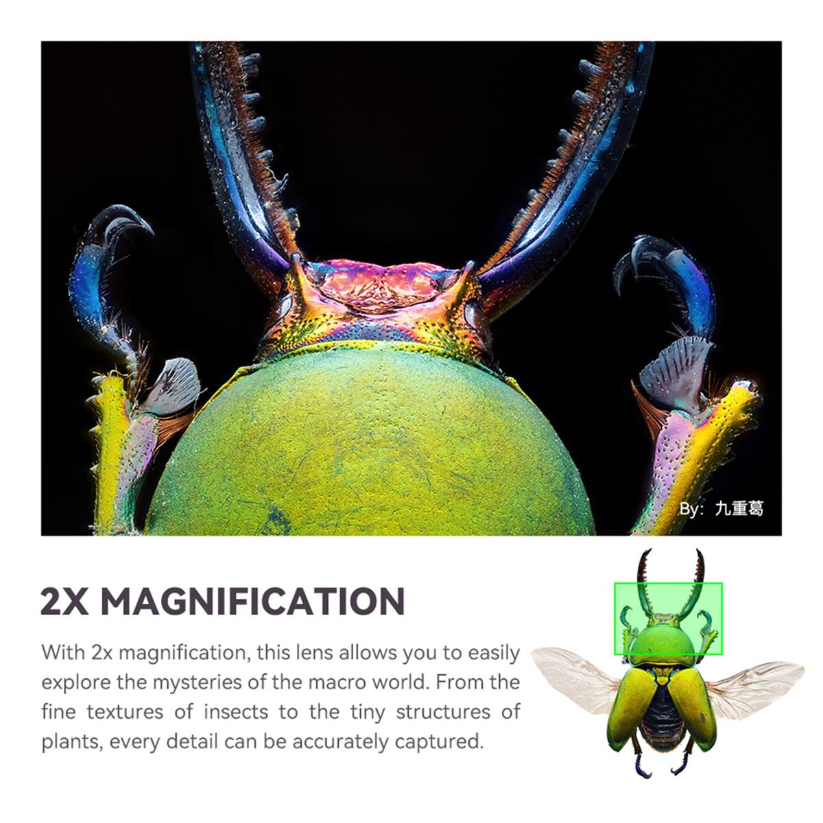 By: 九重葛

2X MAGNIFICATION

With 2x magnification, this lens allows you to easily explore the mysteries of the macro world. From the fine textures of insects to the tiny structures of plants, every detail can be accurately captured.