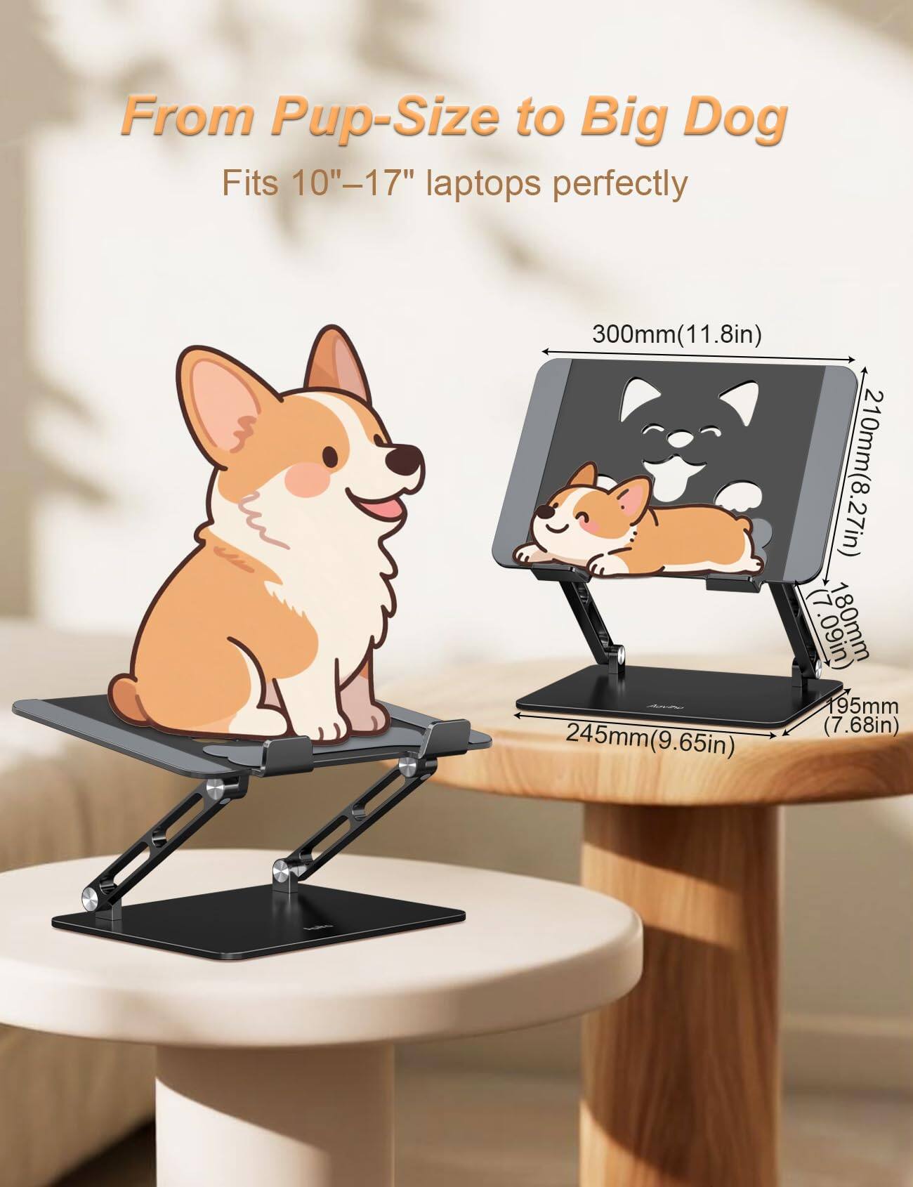 From Pup-Size to Big Dog  
Fits 10"-17" laptops perfectly  
300mm (11.8in)  
245mm (9.65in)  
210mm (8.27in)  
180mm (7.09in)  
95mm (3.74in)