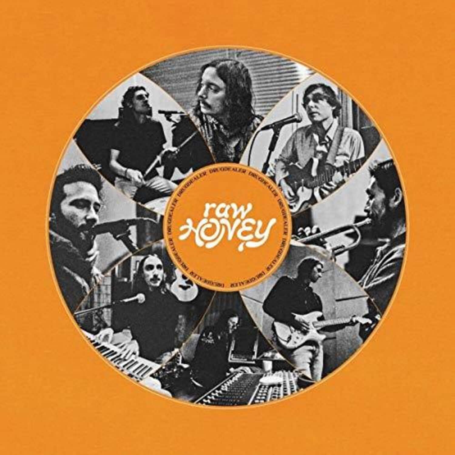 Drugdealer - Raw Honey   - COMPACT DISCS [CD] price history on PriceWatchPro