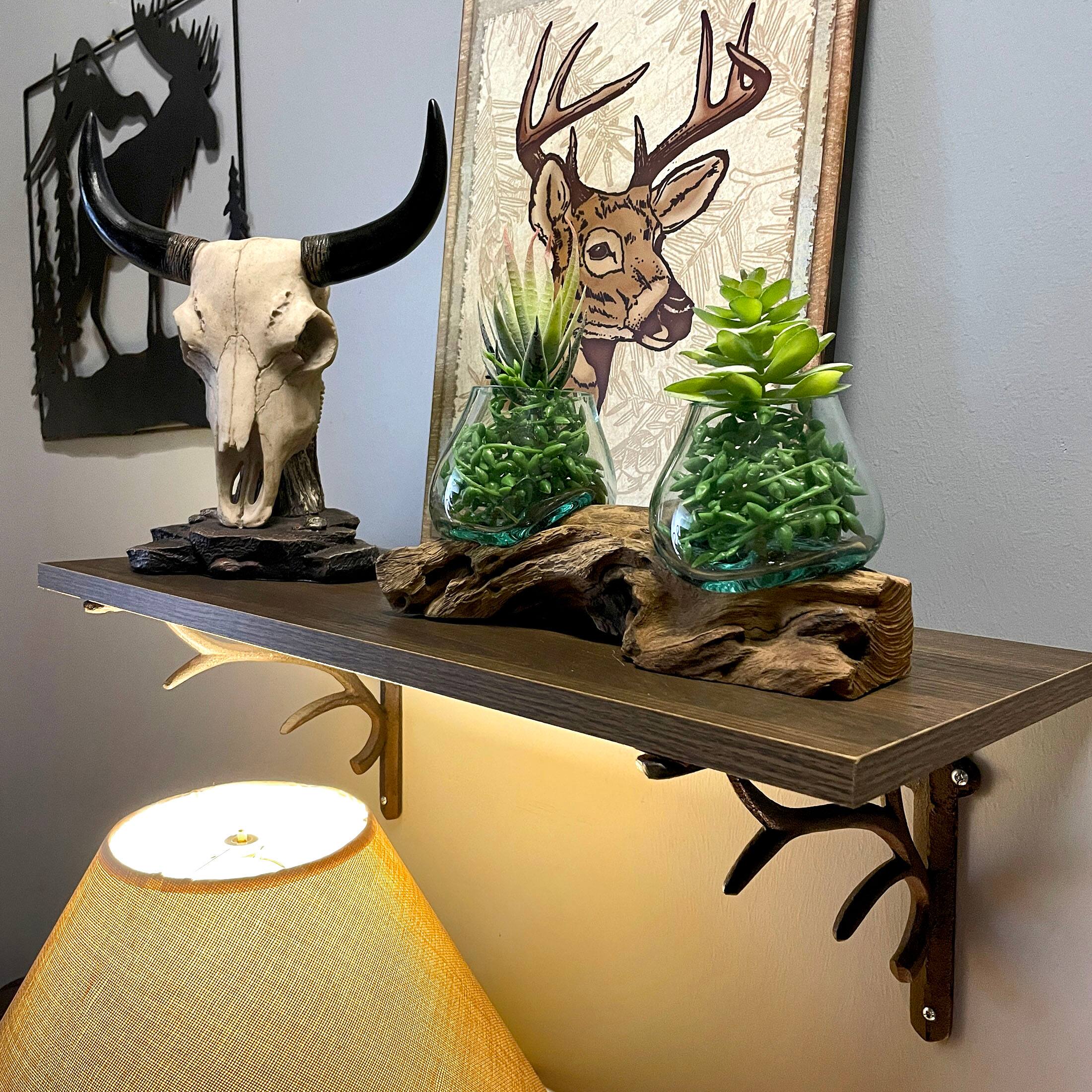 Alt View 7. Things2Die4 - 10.5" Double Molten Glass Bowls on Driftwood Hand Blown Planter Terrarium Decor - Natural.