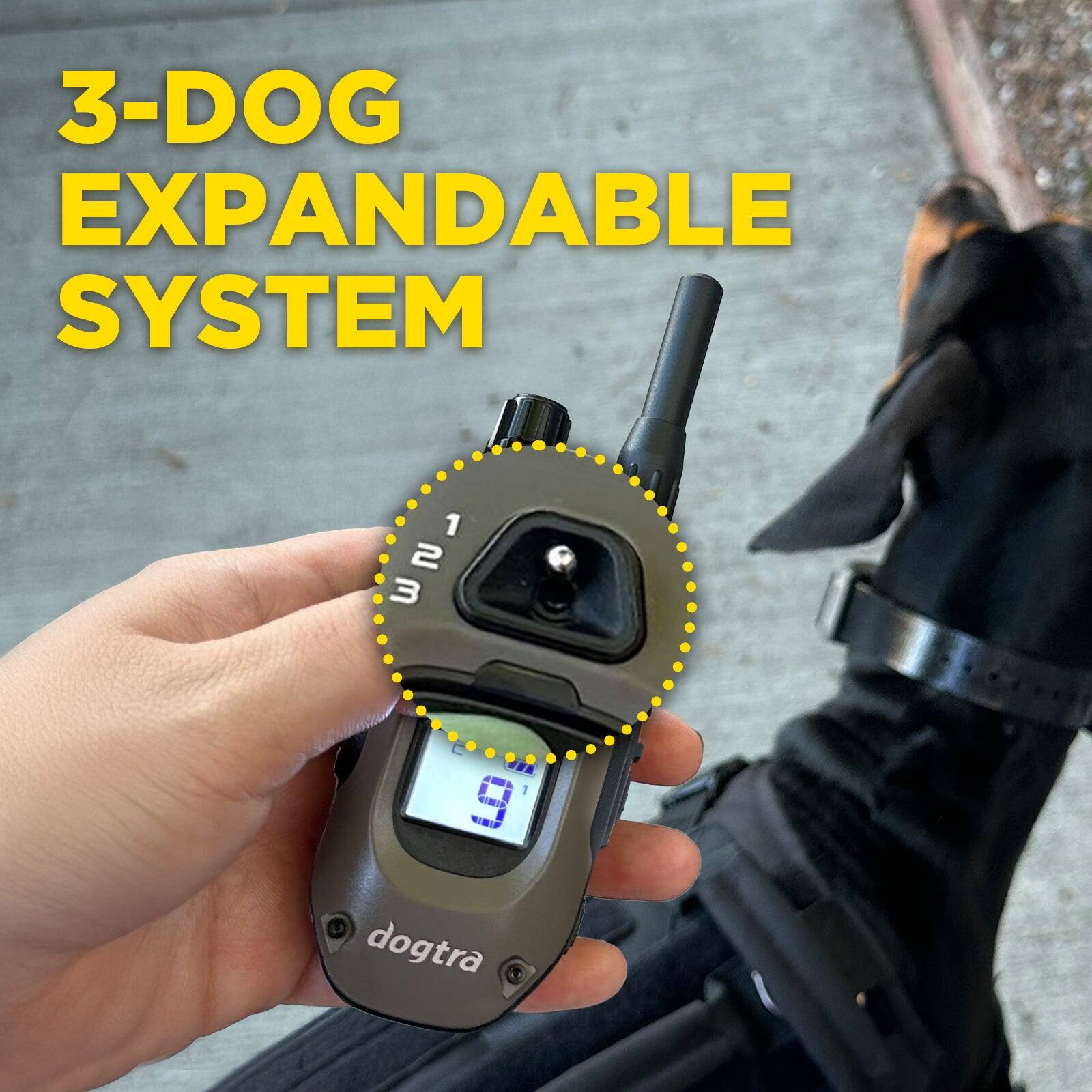 3-DOG EXPANDABLE SYSTEM

1 2 3

dogtra