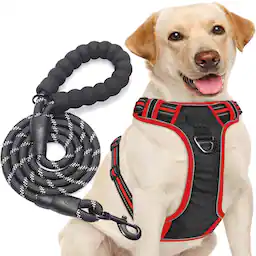 Black/Red Harness+Leash-Small