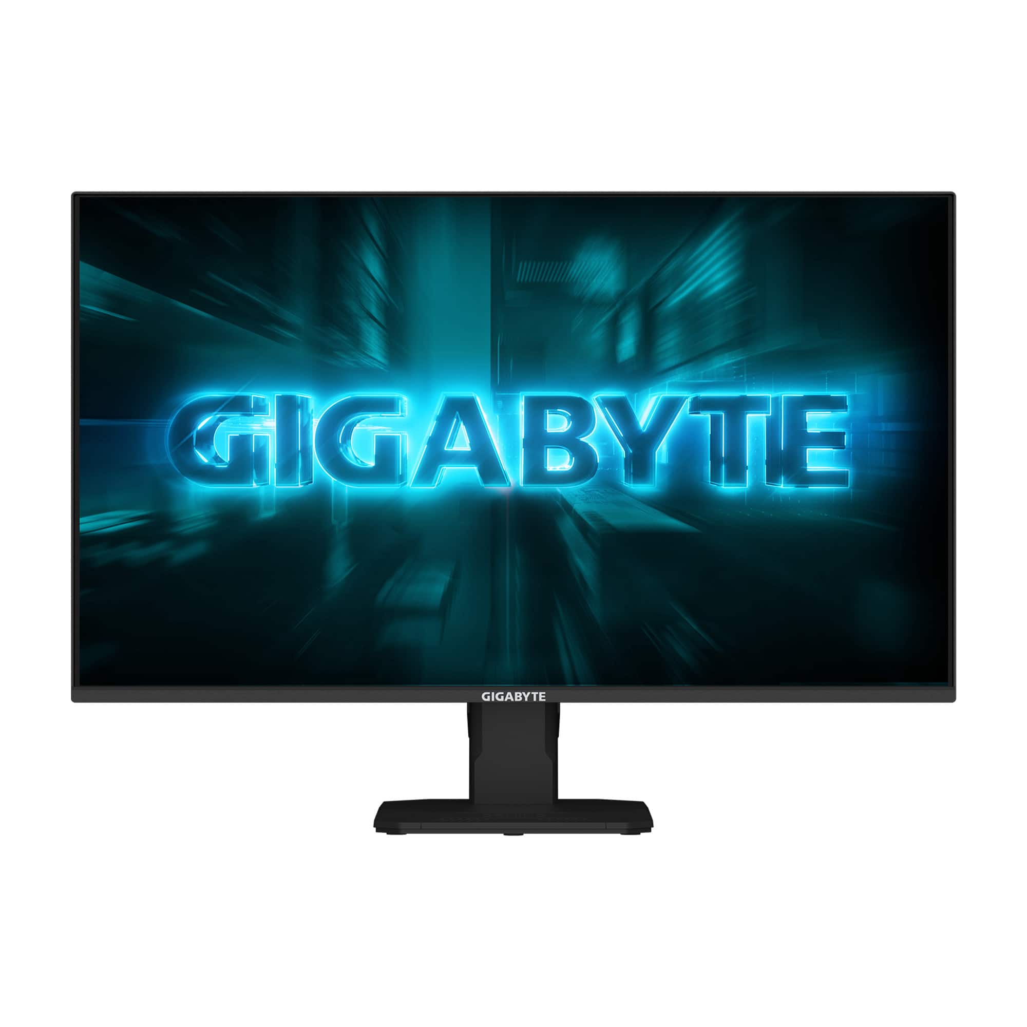 GIGABYTE GS25F2A 24.5
