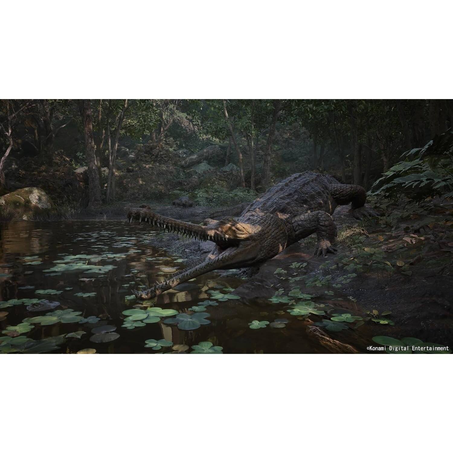 Konami Digital Entertainment