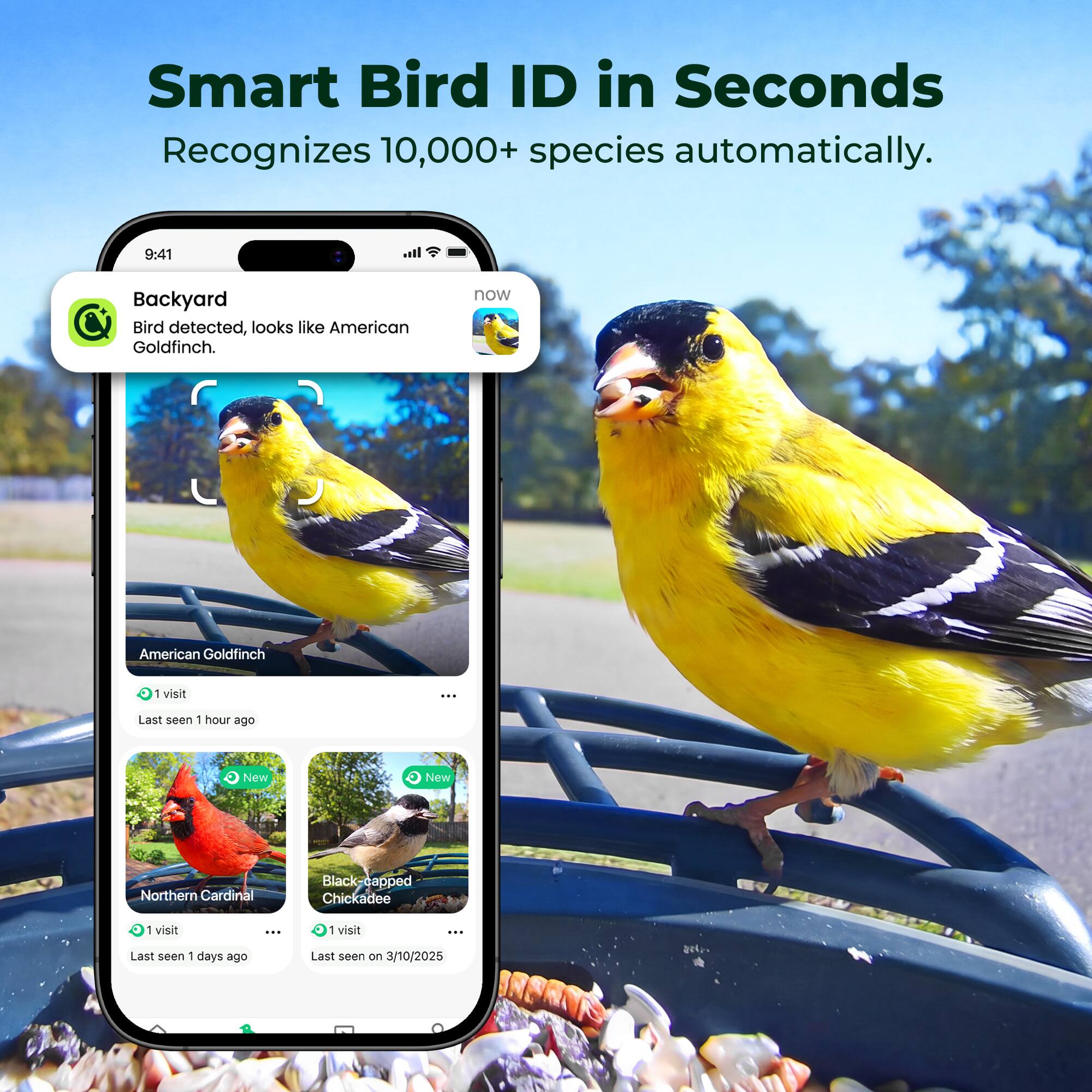 Smart Bird ID in Seconds Recognizes 10,000+ species automatically. 9:41 Backyard Bird detected, looks like American Goldfinch. now American Goldfinch 1 visit - Last seen - hour ago New Now Northern Cardinal Black-capped Chickadee 1 visit ... 1 visit : Last seen 1 days  Last seen  3/10/2025 .