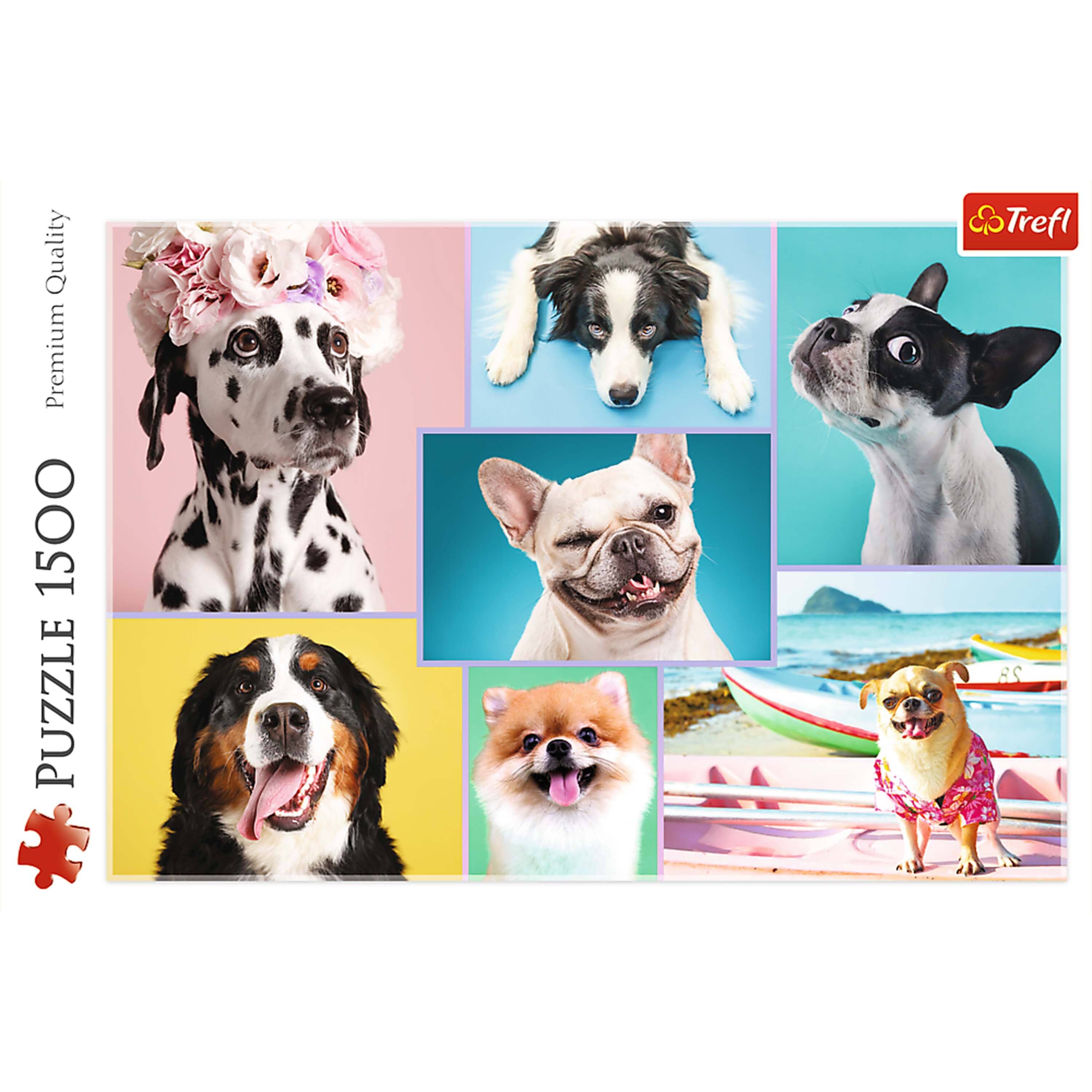Quality Premium 1500 PUZZLE  
Premium Quality  
Trefl  
1500