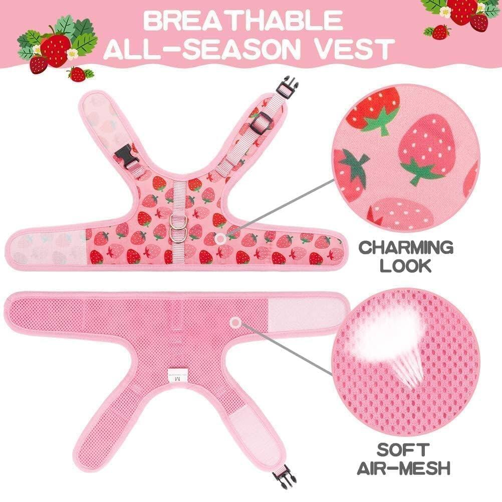 BREATHABLE ALL-SEASON VEST

CHARMING LOOK

SOFT AIR-MESH