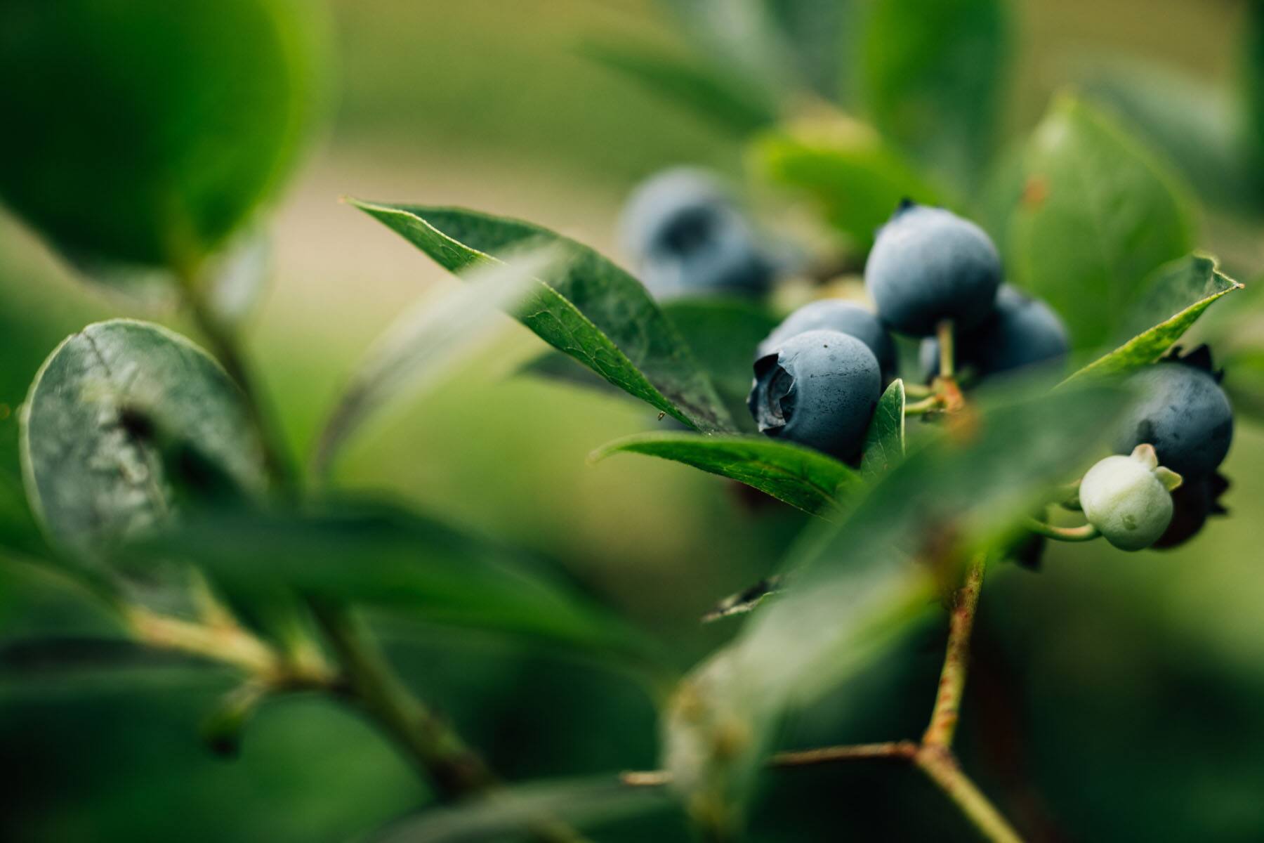 Alt View 8. Nikon - Nikon NIKKOR Z DX 16-50mm f/2.8 Wide-angle Mirrorless Zoom VR Lens - Black.