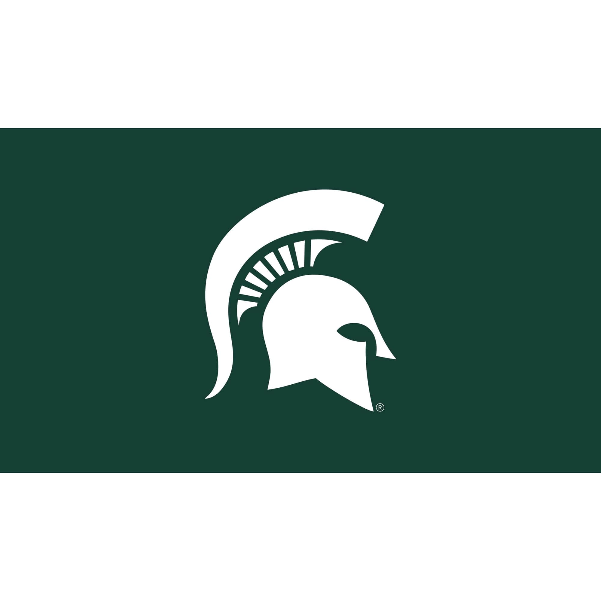 Evergreen Enterprises - Michigan State Spartans 28" x 16" Turf Mat - Multicolor