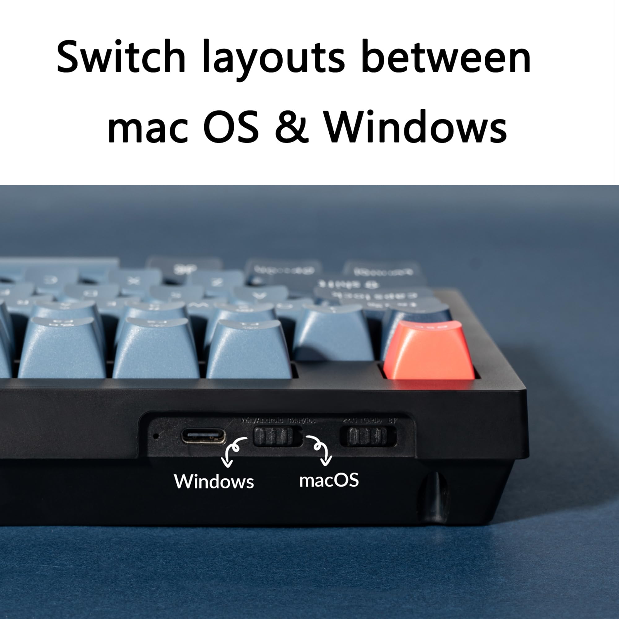 Switch layouts between  
macOS & Windows

Windows  
macOS