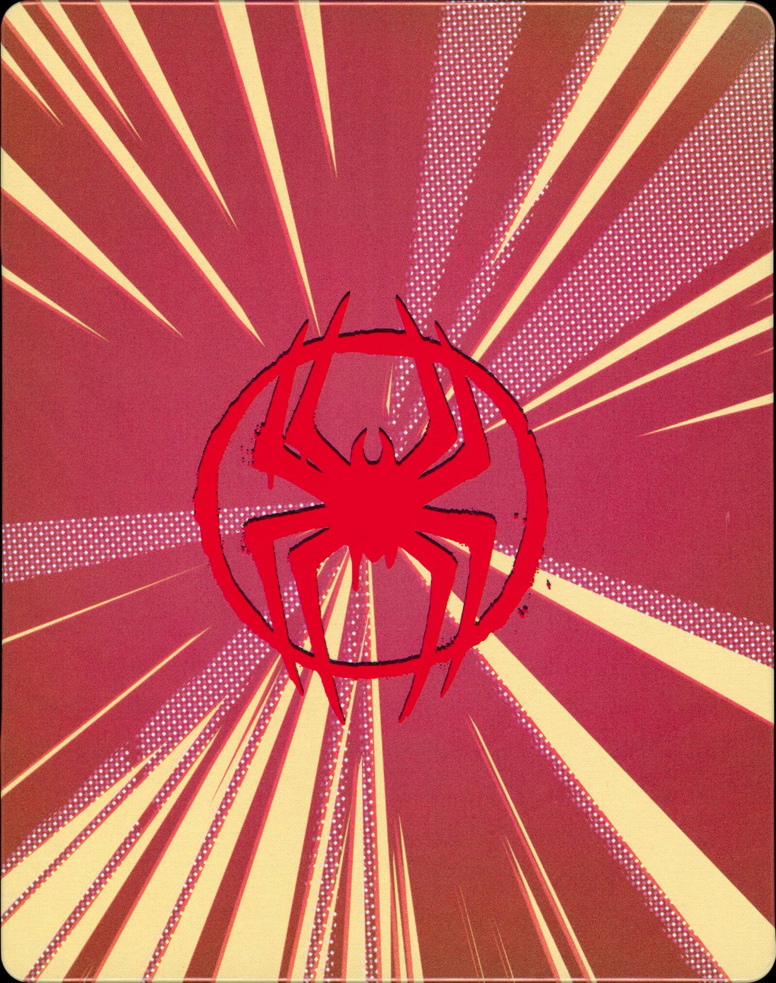 Alt View 1. Steelbook Across The Spider-Verse (Blu-ray + DVD + Dig).