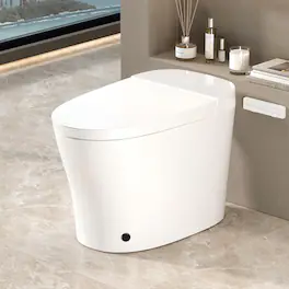 Loheer - One Piece Smart Toilet with Bidet, Automatic Heated Seat, Porcelain, 12 Inch Rough In - White