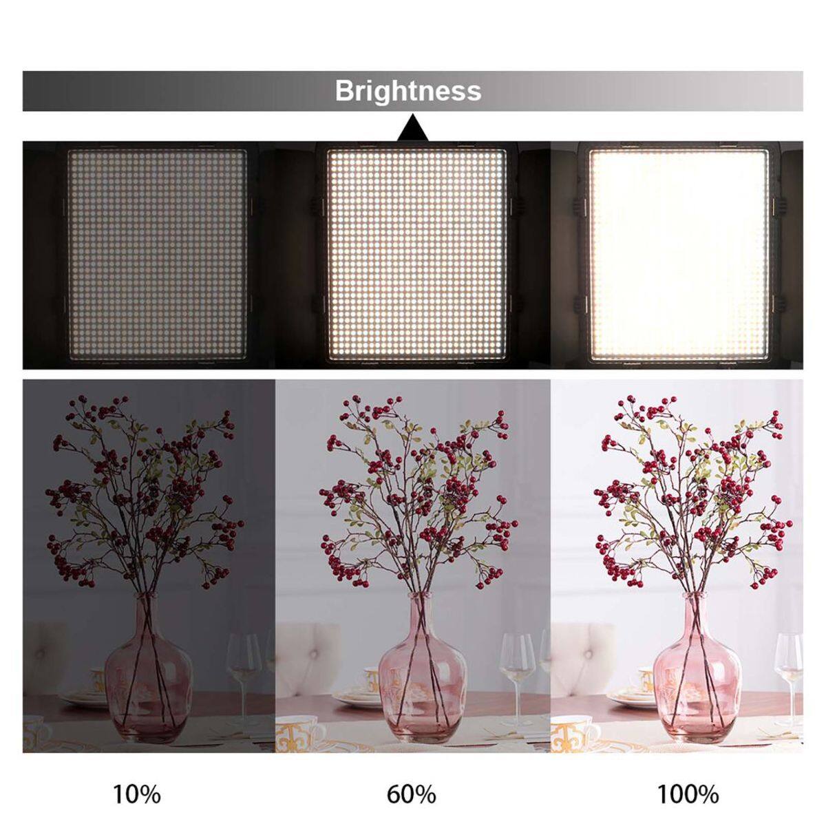 Brightness: 10% 60% 100%
