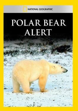 Polar Bear Alert - DVD