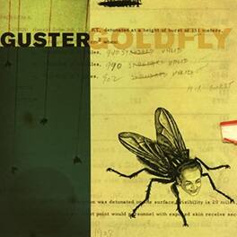 Guster - Goldfly - VINYL LP