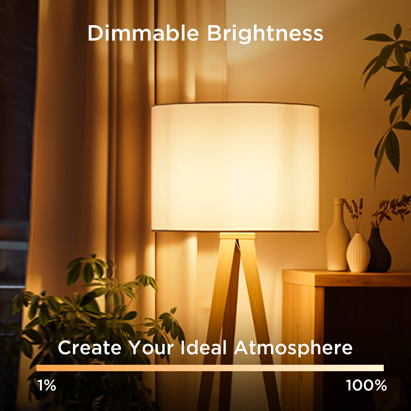 Dimmable Brightness  
Create Your Ideal Atmosphere  
1% 100%