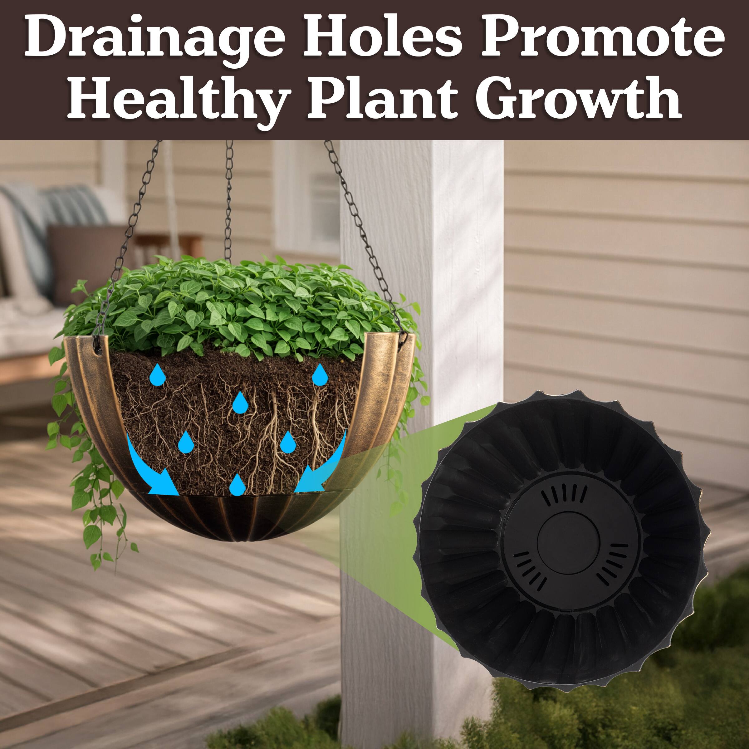 Drainage Holes Promote Healthy Plant Growth