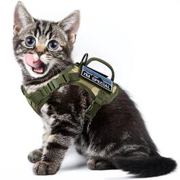 Paradigms Interiors - Cat Harness And Leash Set For Walking Escape Proof Pet Vest Easy Control Breathable With Handle molle Patches - Camo Green-L