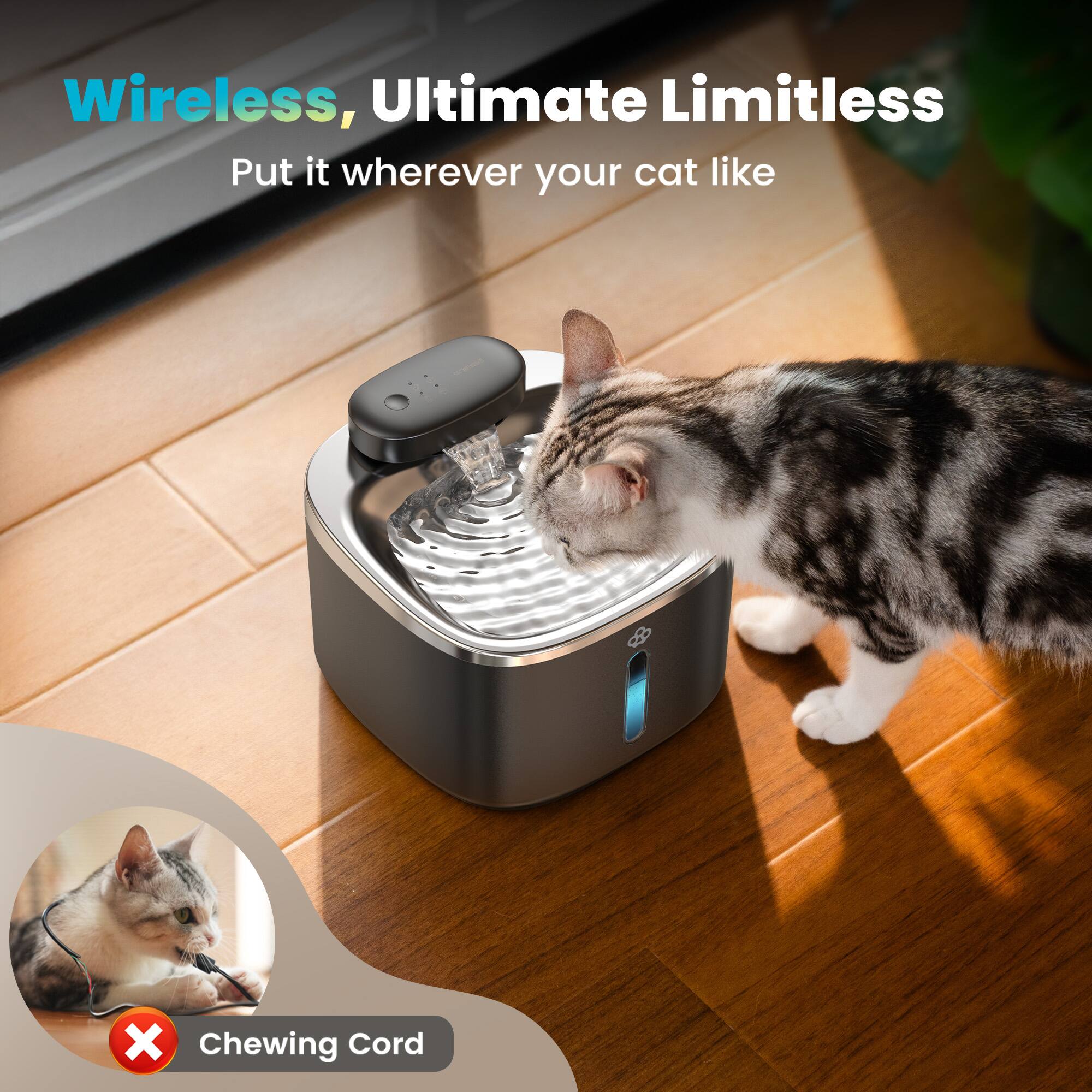 Wireless, Ultimate Limitless  
Put it wherever your cat like  

Chewing Cord