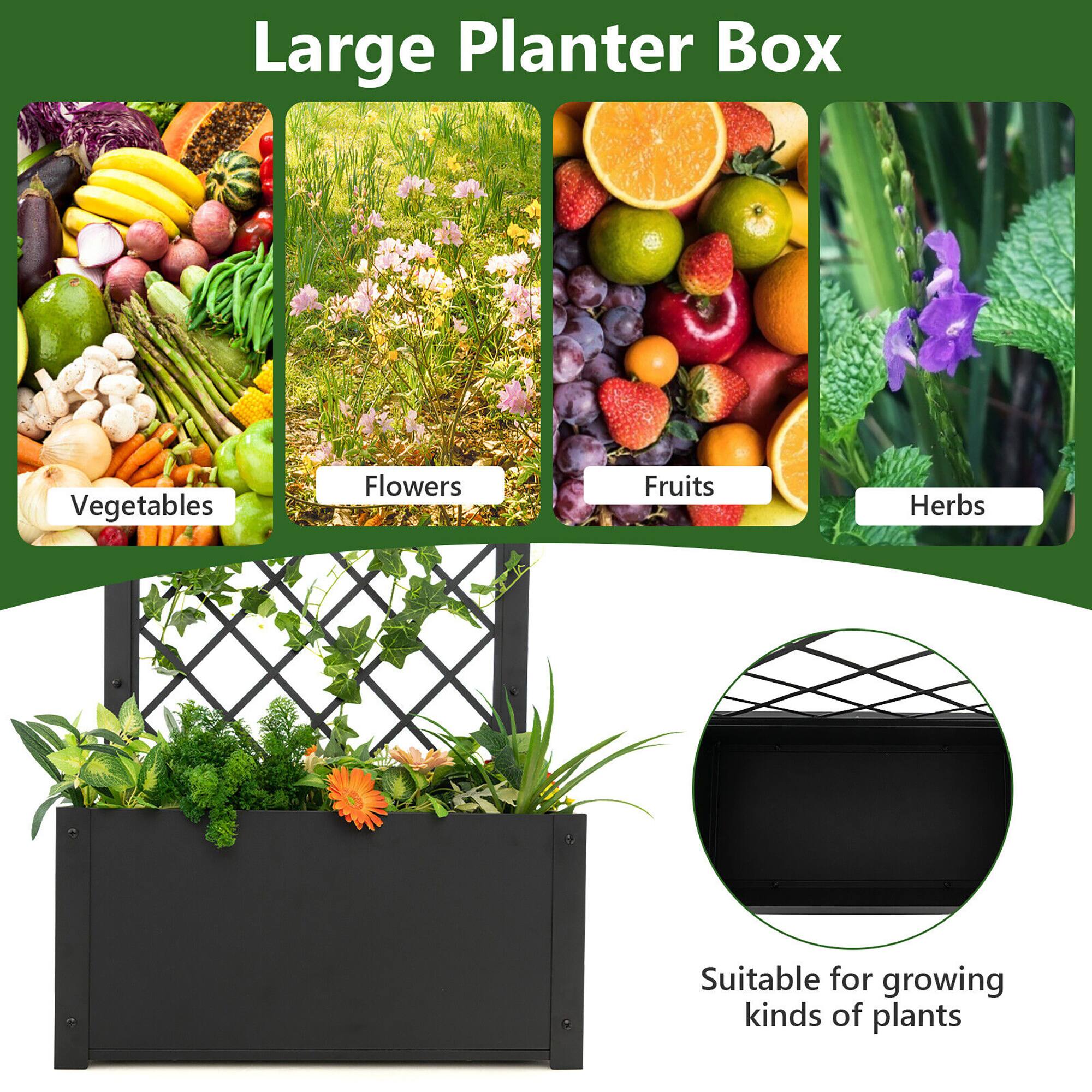 Large Planter Box

- Vegetables
- Flowers
- Fruits
- Herbs

Suitable for growing kinds of plants