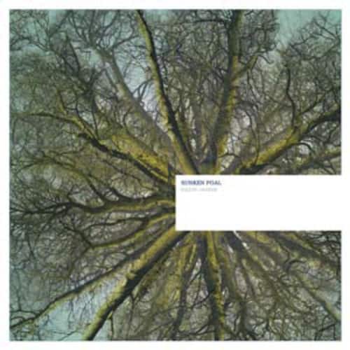 Sunken Foal - Fallen Arches  - VINYL LP