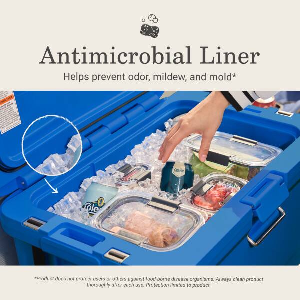 Antimicrobial Liner Helps prevent odor, mildew, and mold*  
ARTNCA  

*Product does not protect users or others against food-borne disease organisms. Always clean product thoroughly after each use. Protection limited to product.