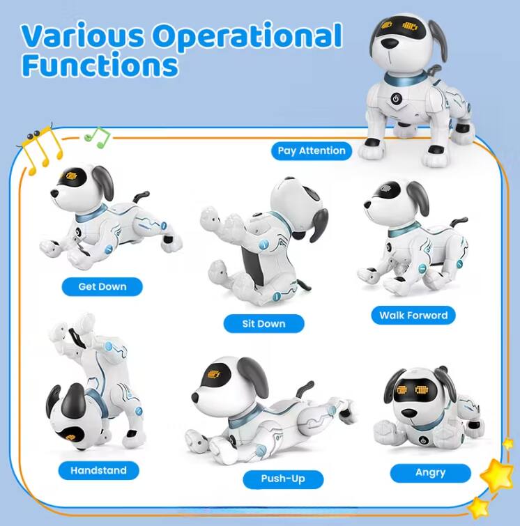 Various Operational Functions

- Pay Attention
- Get Down
- Sit Down
- Walk Forward
- Handstand
- Push-Up
- Angry