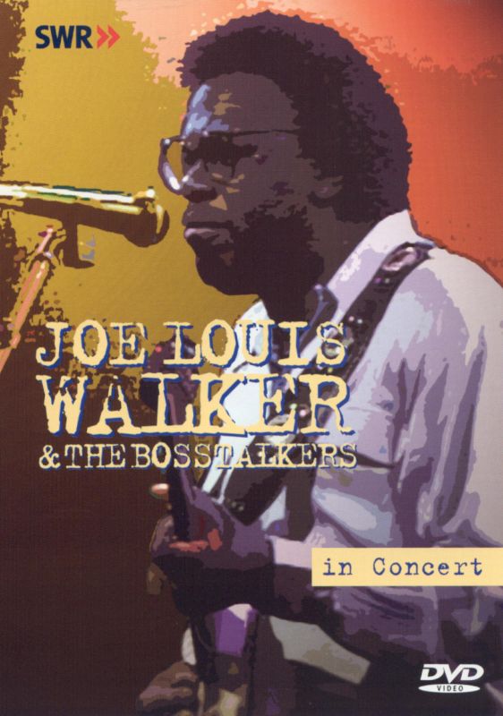 Ohne Filter - Musik Pur: Joe Louis Walker in Concert [DVD]