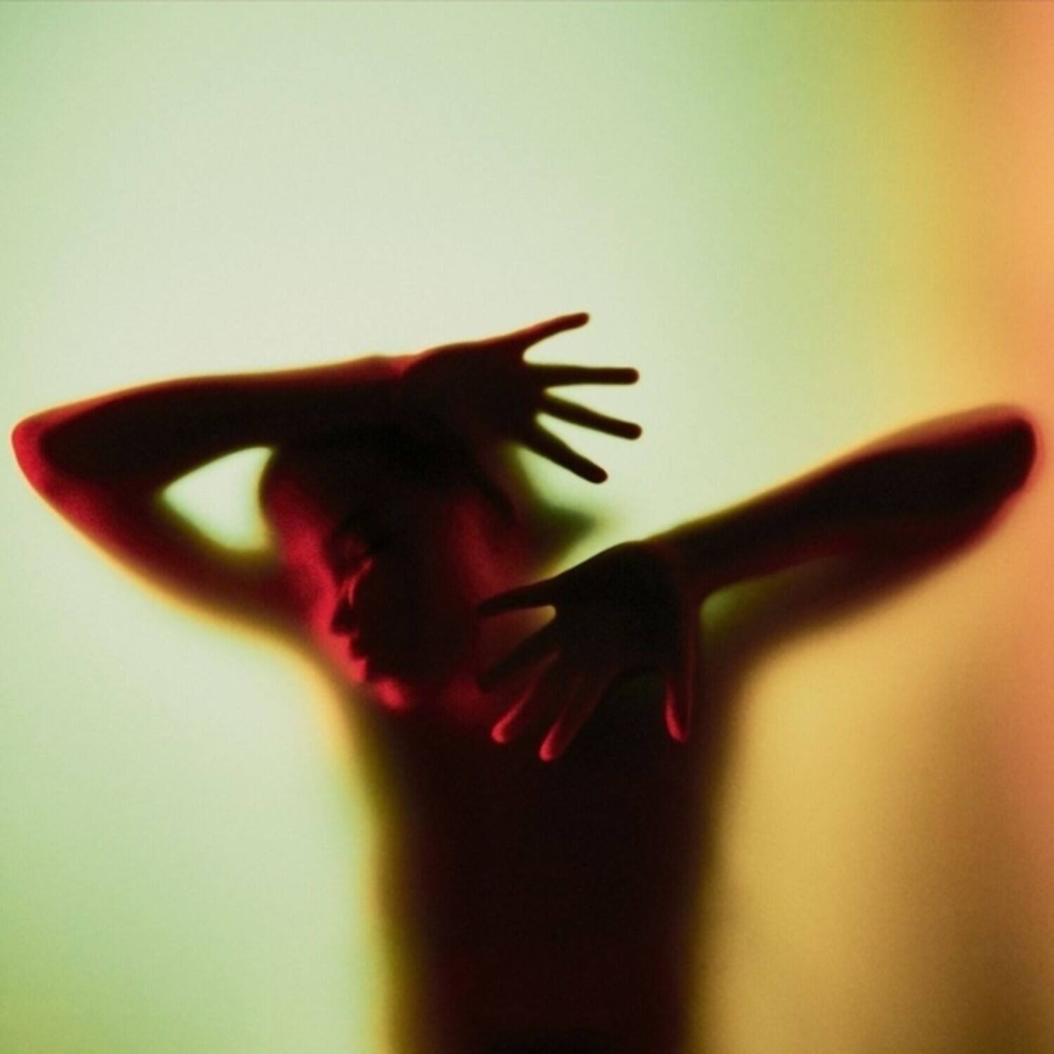 Front. Filmmaker - Hollywood Cult   - VINYL LP.